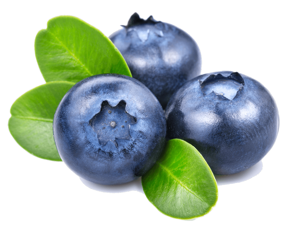 Blueberry Flavouring for Food & Drink Industry - Stringer Flavour UK